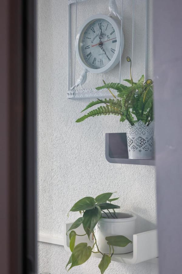 דיטישהאוזן Apartment Flieder - F 96 By Interhome מראה חיצוני תמונה